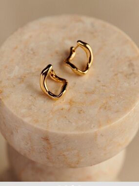 Sezane Naika earrings